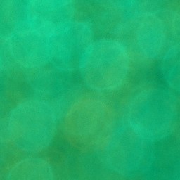 Bokeh-425